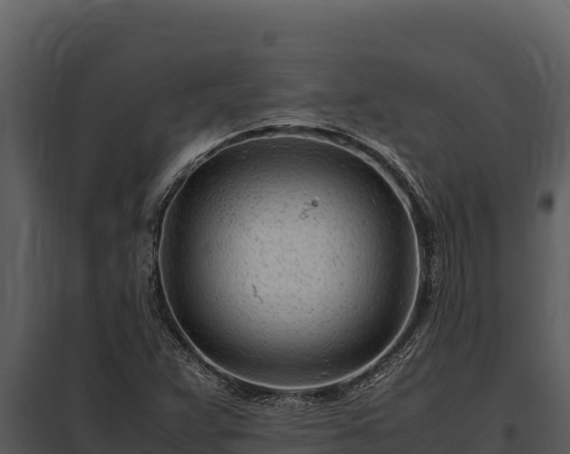 X0000097961359200804011648