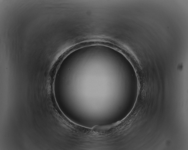 X0000097961360200804011648