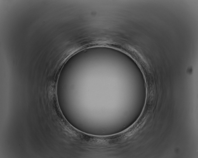 X0000097961361200804011648