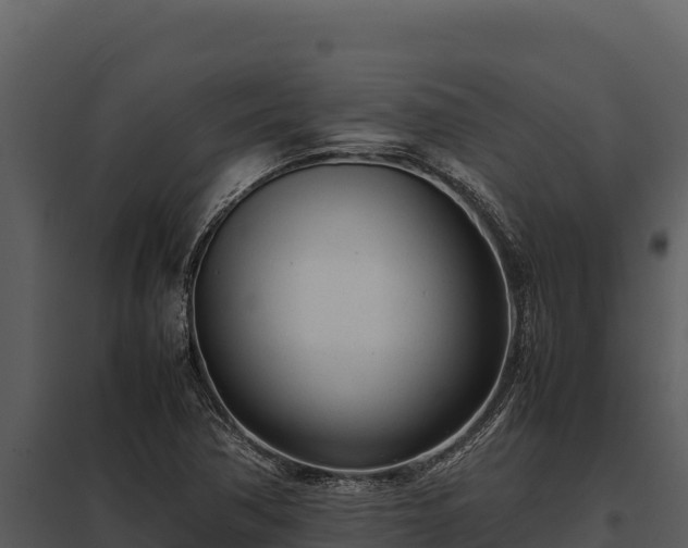 X0000097961362200804011648