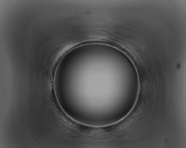 X0000097961363200804011648
