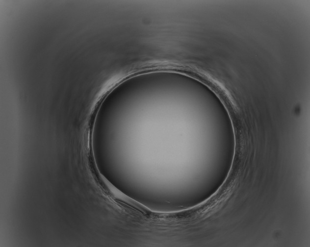 X0000097961365200804011648