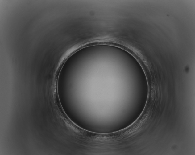 X0000097961366200804011648