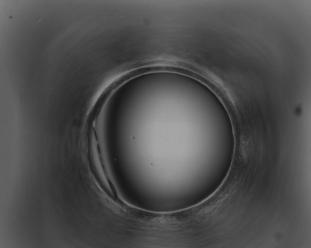 X0000097961368200804011648