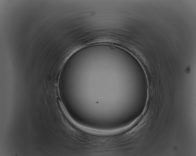 X0000097961369200804011648