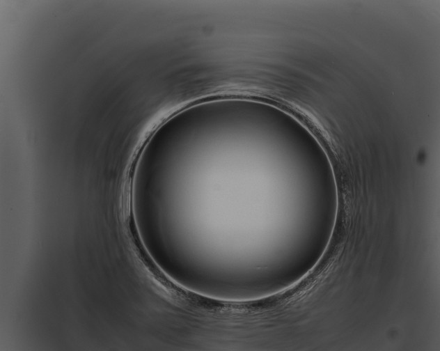 X0000097961371200804011648