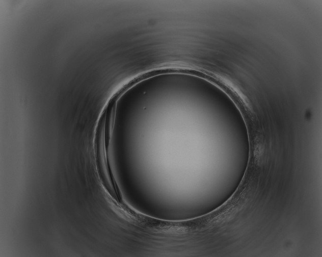 X0000097961372200804011648