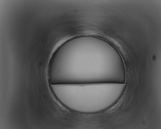 X0000097961373200804011648