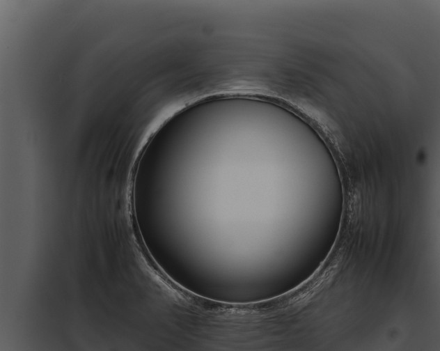 X0000097961374200804011648