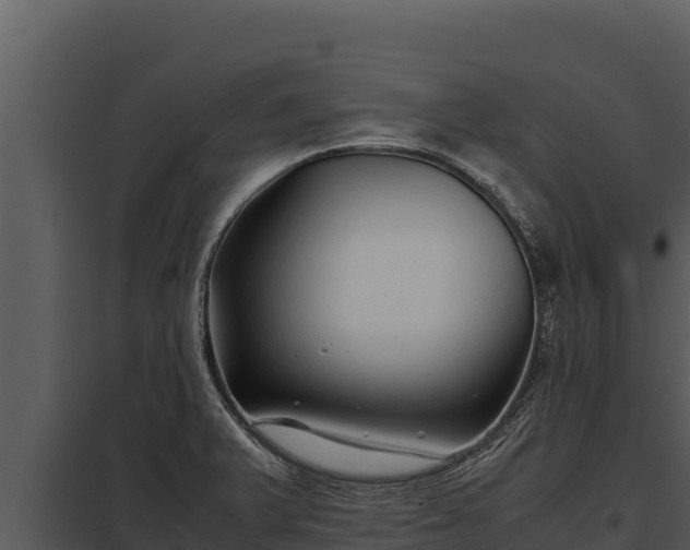 X0000097961375200804011648
