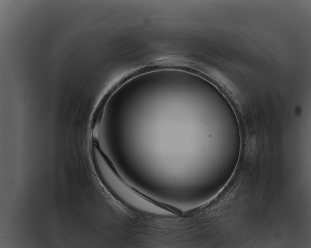 X0000097961376200804011648