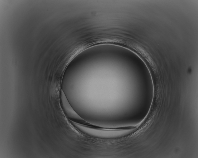 X0000097961377200804011648