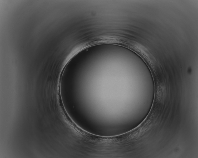 X0000097961378200804011648