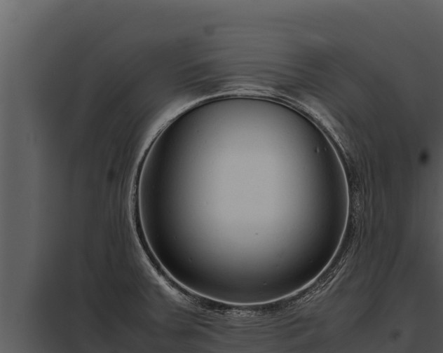 X0000097961379200804011648