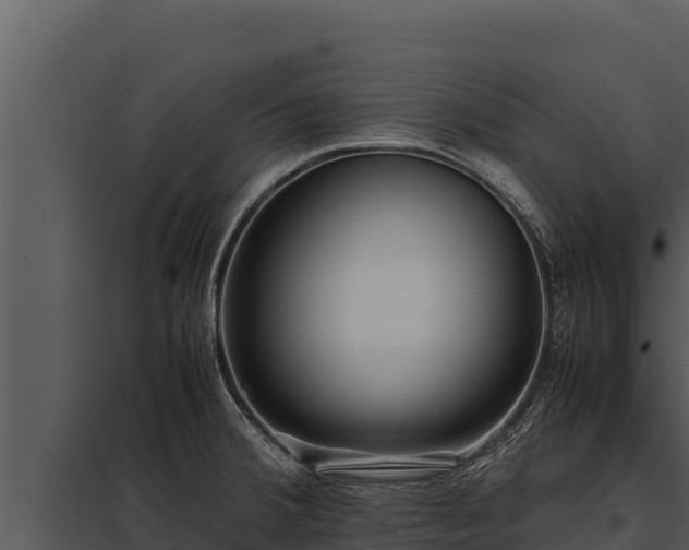 X0000097961380200804011648