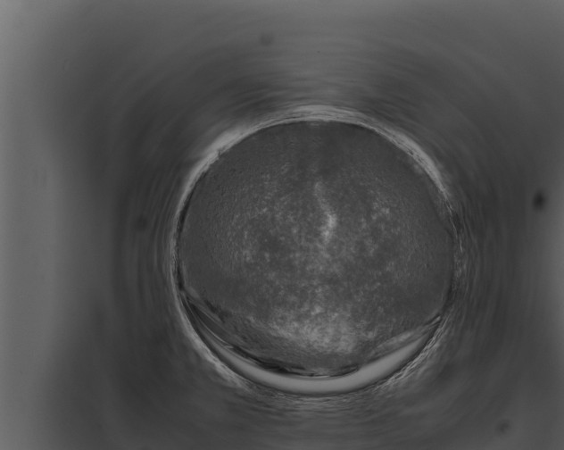 X0000097961381200804011648