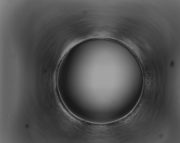 X0000097961382200804011648
