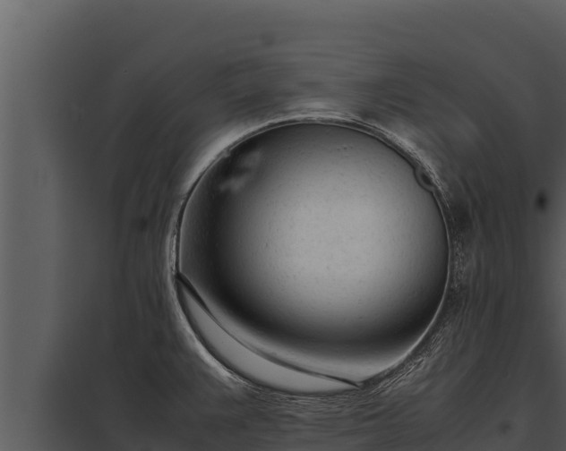 X0000097961383200804011648