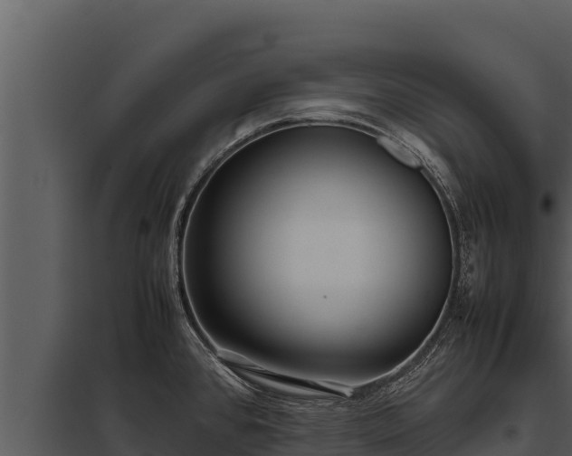 X0000097961384200804011648