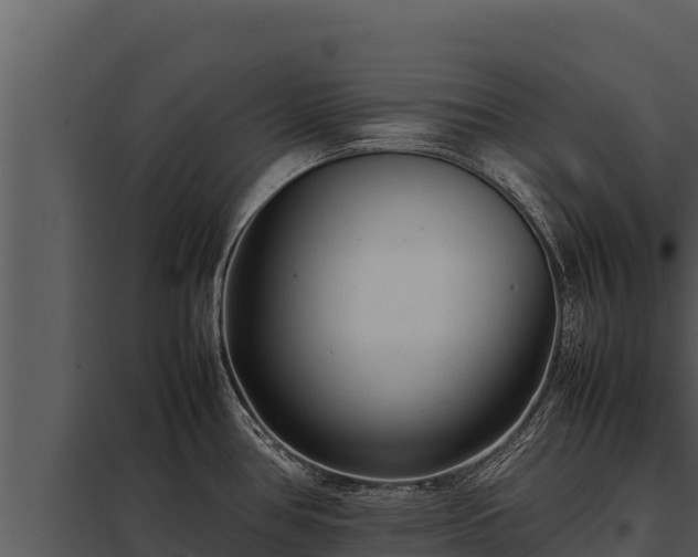 X0000097961386200804011648