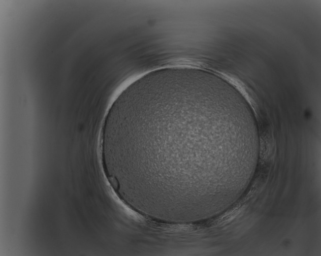 X0000097961387200804011648