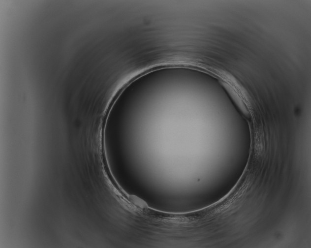 X0000097961388200804011648
