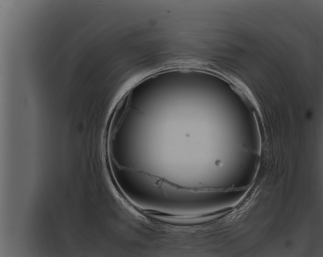 X0000097961389200804011648