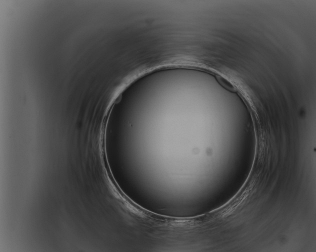 X0000097961390200804011648