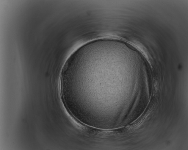 X0000097961391200804011648
