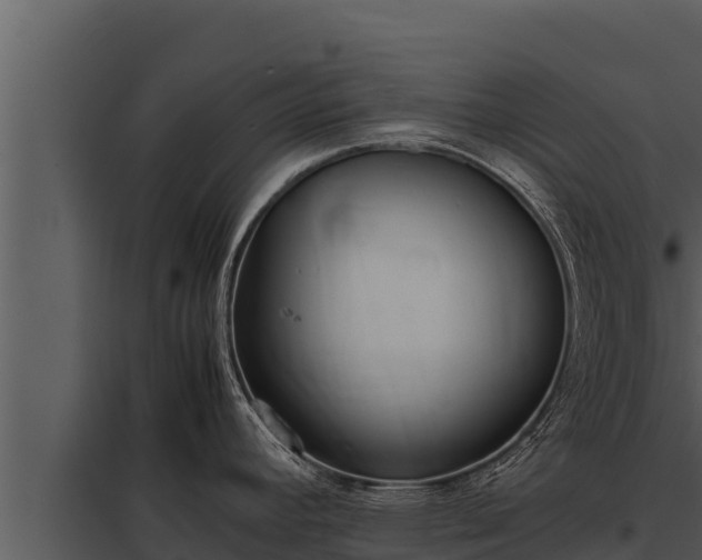X0000097961392200804011648