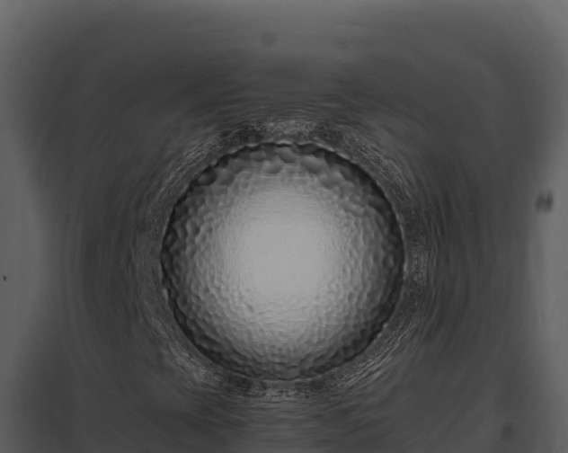 X0000097961393200804011647