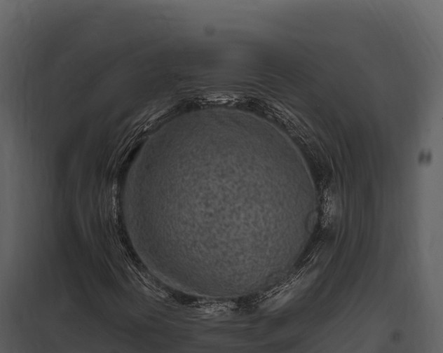 X0000097961394200804011647
