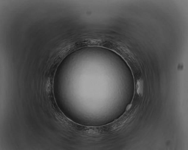 X0000097961395200804011647