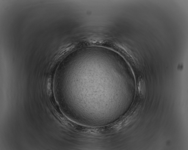 X0000097961396200804011647