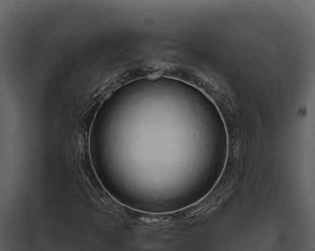 X0000097961397200804011647