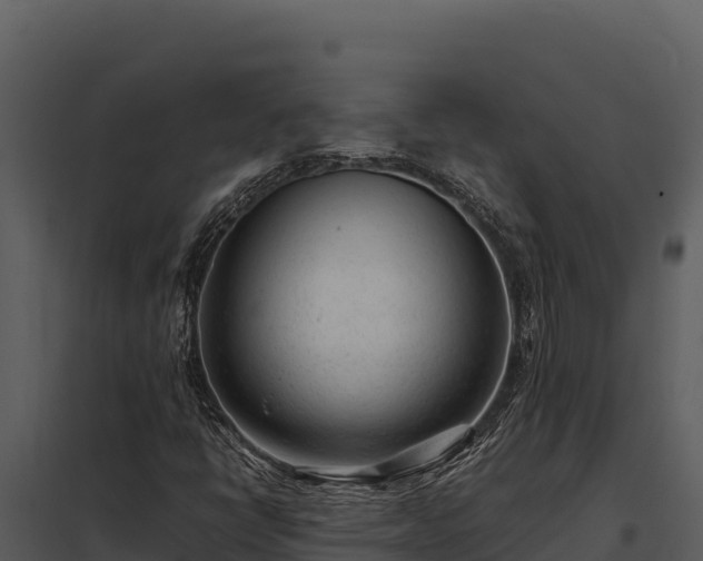 X0000097961398200804011647