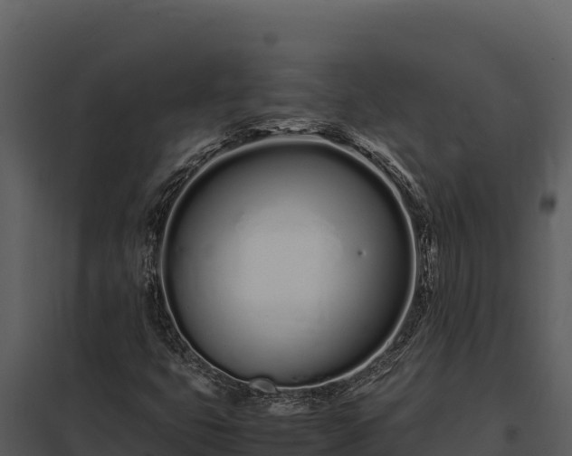 X0000097961399200804011647