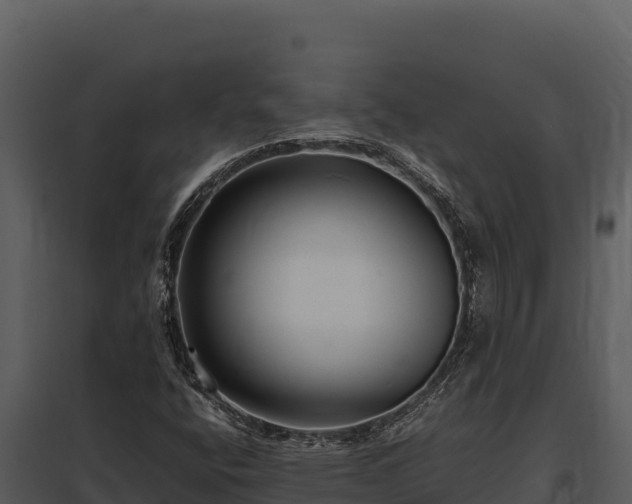 X0000097961400200804011647