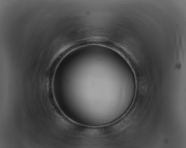 X0000097961402200804011647