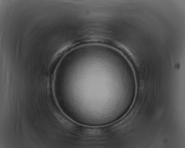 X0000097961403200804011647