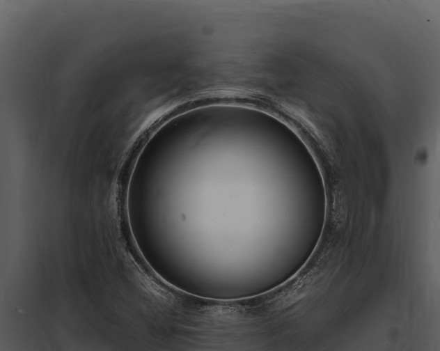 X0000097961404200804011647