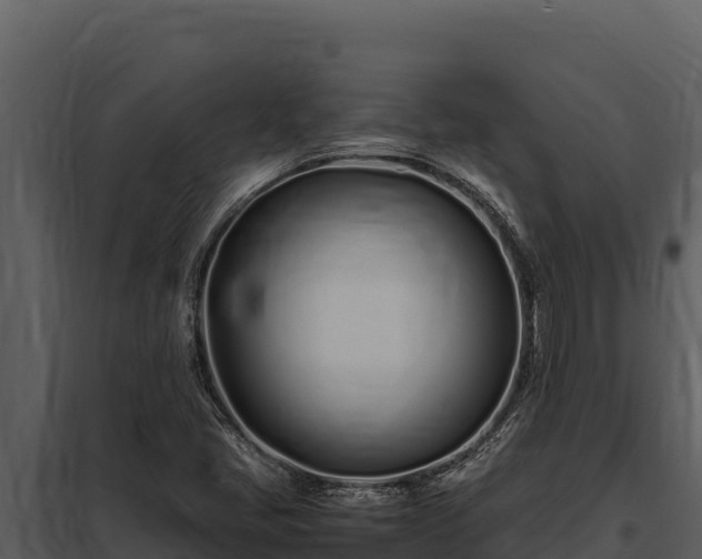 X0000097961405200804011647