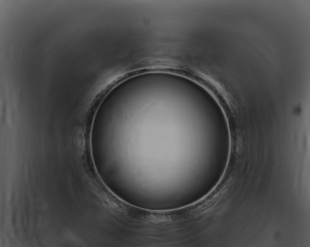 X0000097961407200804011647