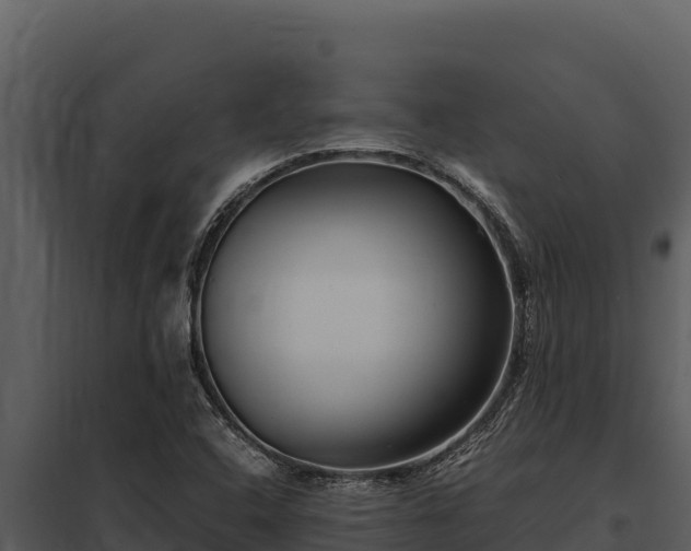 X0000097961408200804011647