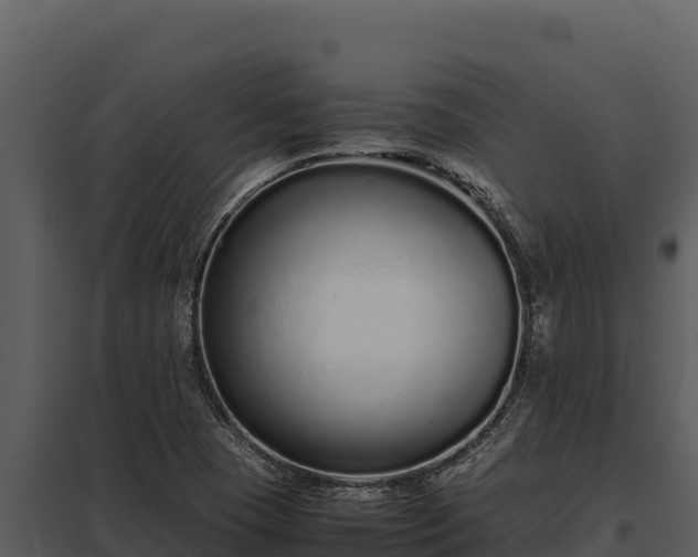 X0000097961409200804011647