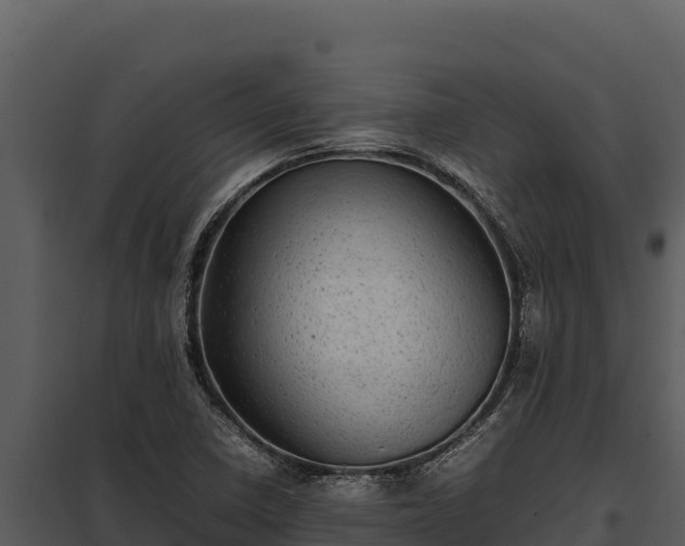 X0000097961410200804011647