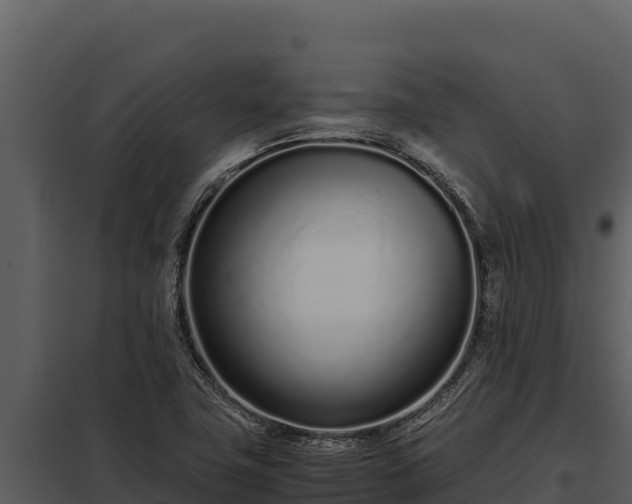 X0000097961411200804011647