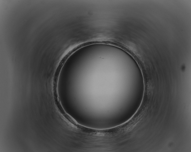 X0000097961412200804011647