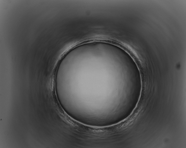 X0000097961413200804011647