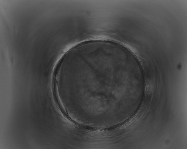 X0000097961414200804011647